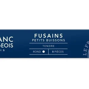 5 Fusains petit buisson rond