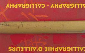 Bambou double pointe : fine/large