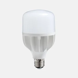 Ampoule LED lumière du jour 19 W à vis