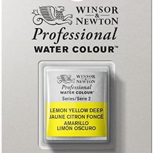 Aquarelle extra-fine Professionnal Water Colour 1/2 godet