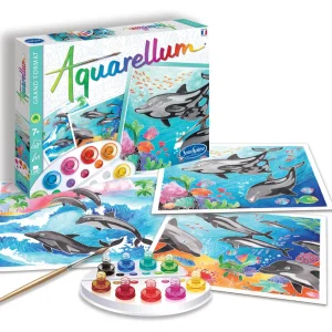 Aquarellum dauphins