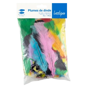 Assortiment plumes de dinde multicolore (x300)