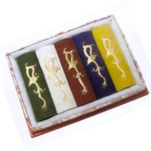 Bâtons d'encre de Chine 5 pièces de 31g couleurs assorties